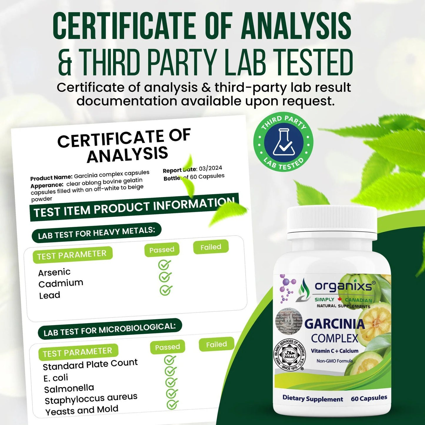 Garcinia Cambogia