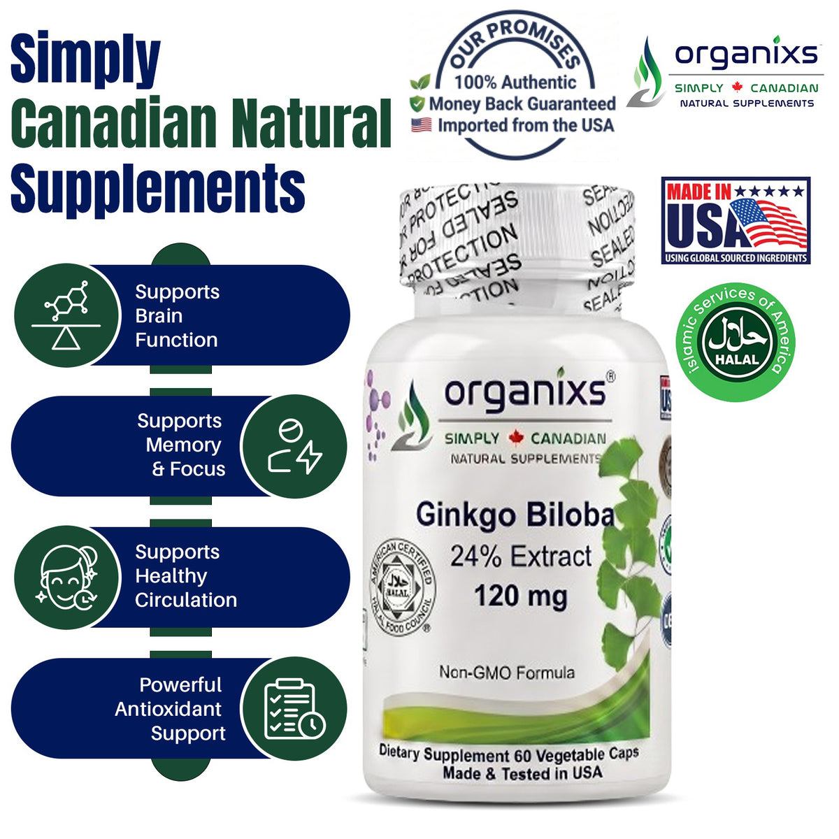 Organixs Ginkgo Biloba Supplement 120mg