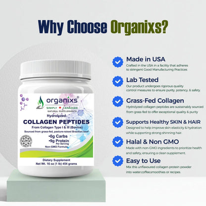 Collagen Powder