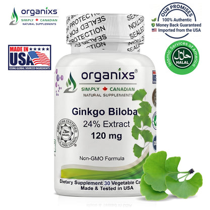 Organixs Ginkgo Biloba Supplement 120mg