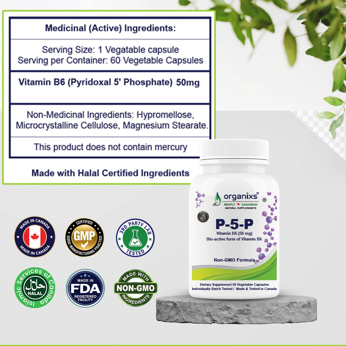 Organixs Vitamin B6- P5P (Pyridoxal-5-Phosphate)
