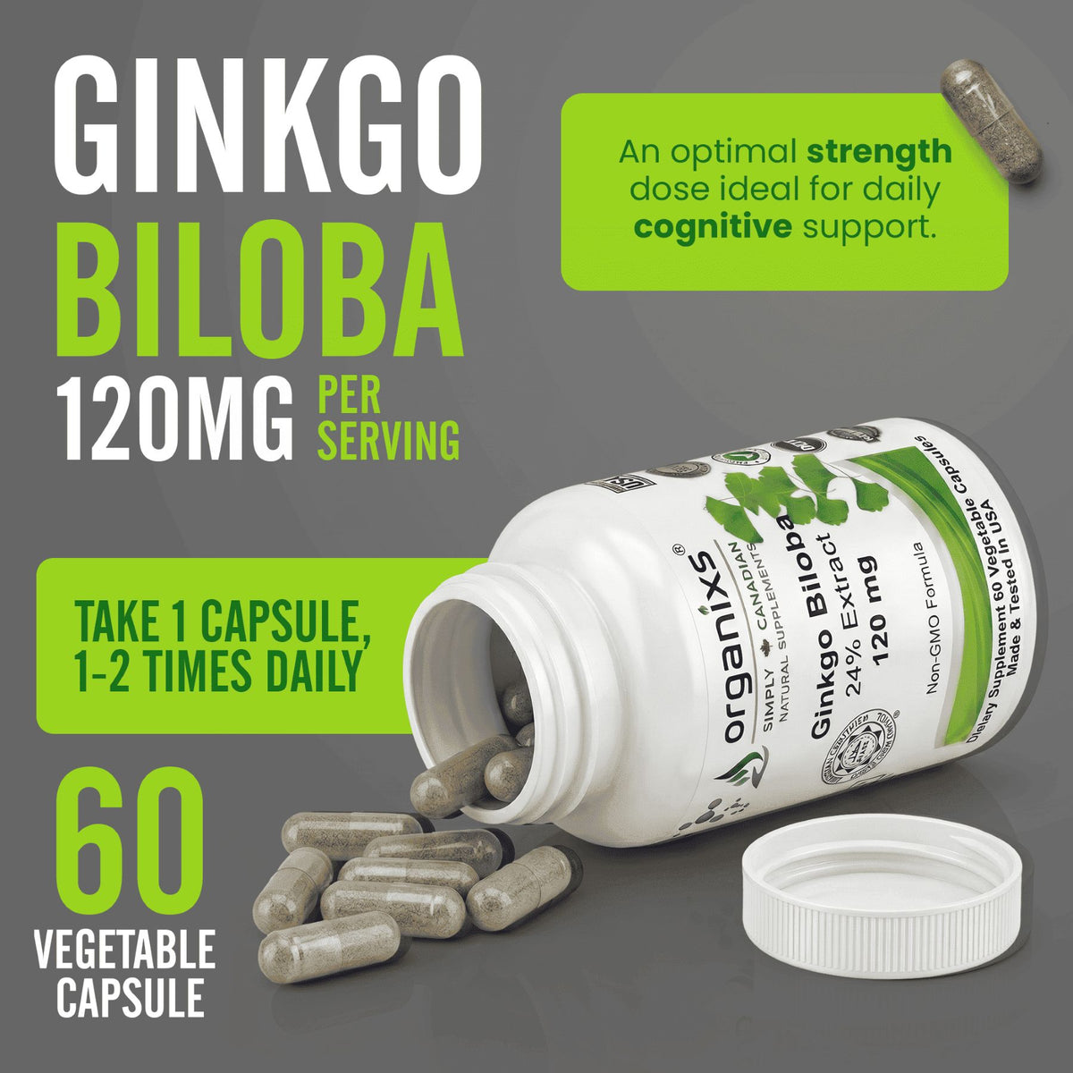 Organixs Ginkgo Biloba Supplement 120mg