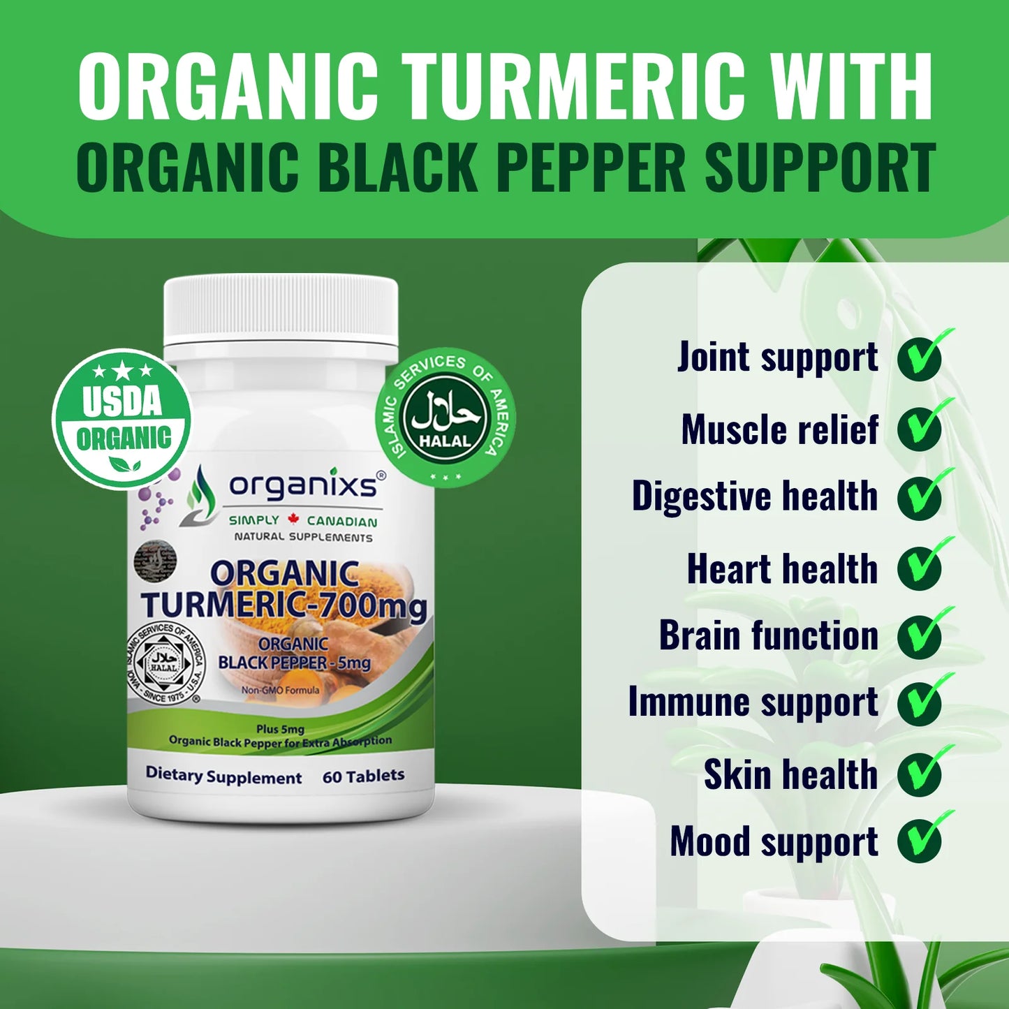 Organic Turmeric 700mg