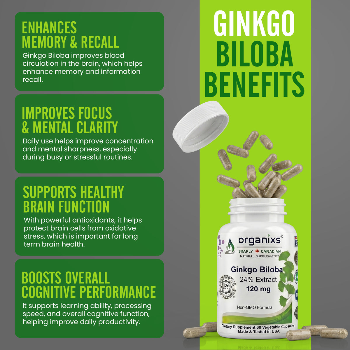 Organixs Ginkgo Biloba Supplement 120mg