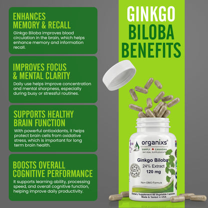 Organixs Ginkgo Biloba Supplement 120mg