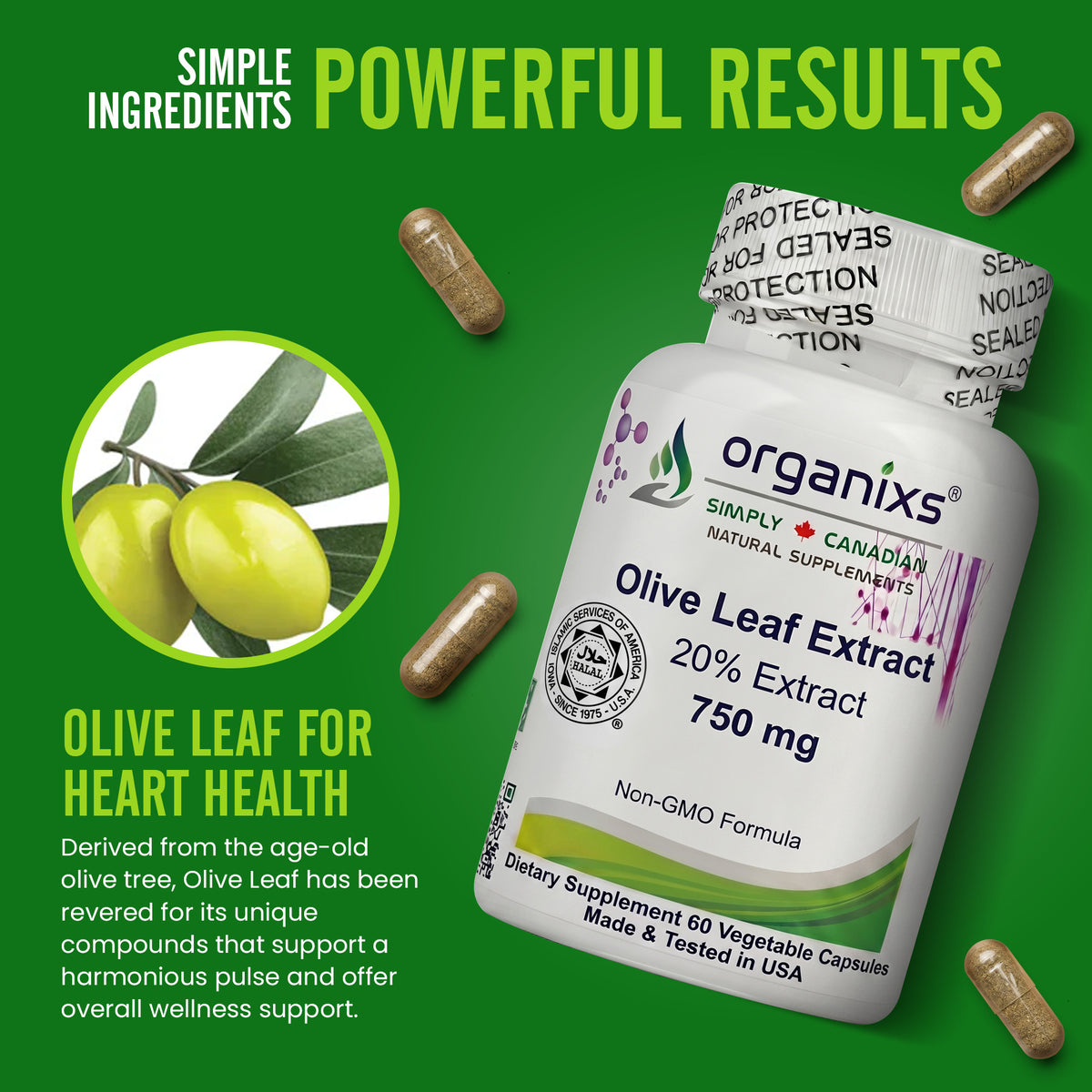Organixs Olive Leaf Extract 750mg