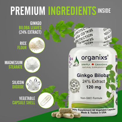 Organixs Ginkgo Biloba Supplement 120mg