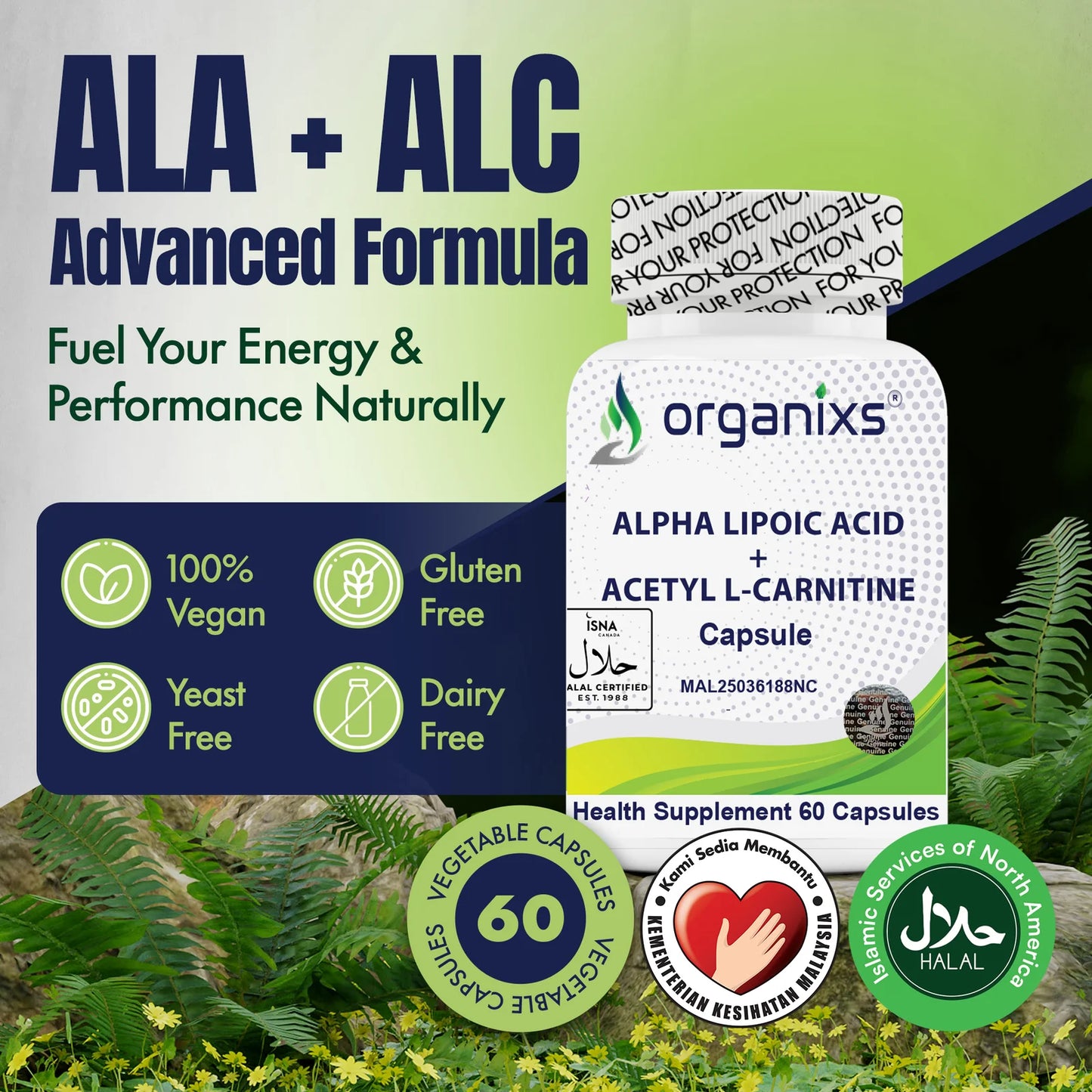 Alpha Lipoic Acid 225mg + Acetyl L-Carnitine 525mg (ALCAR) [CND]