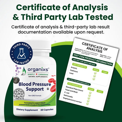 Blood Pressure Support