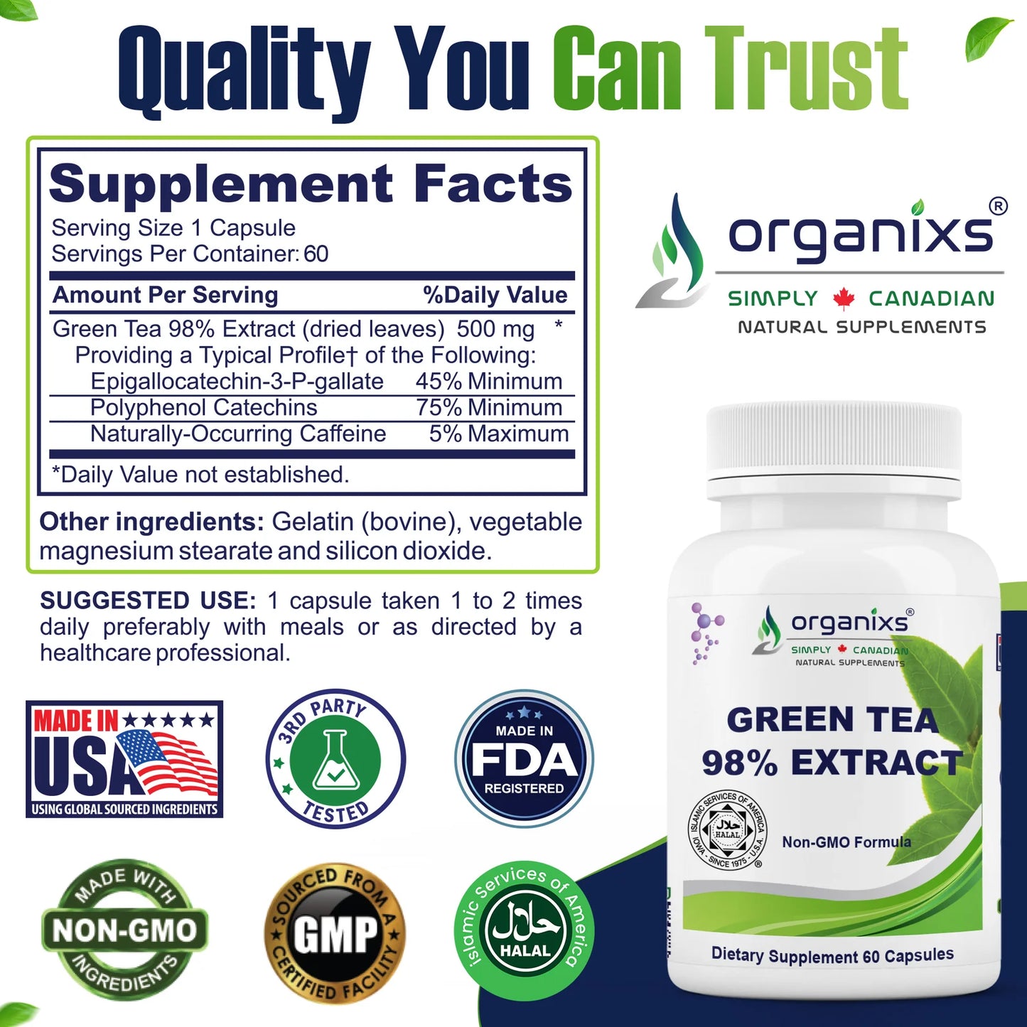 Organixs Green Tea Extract – Supplements For Men & Women, Halal Certified [60 Capsules]