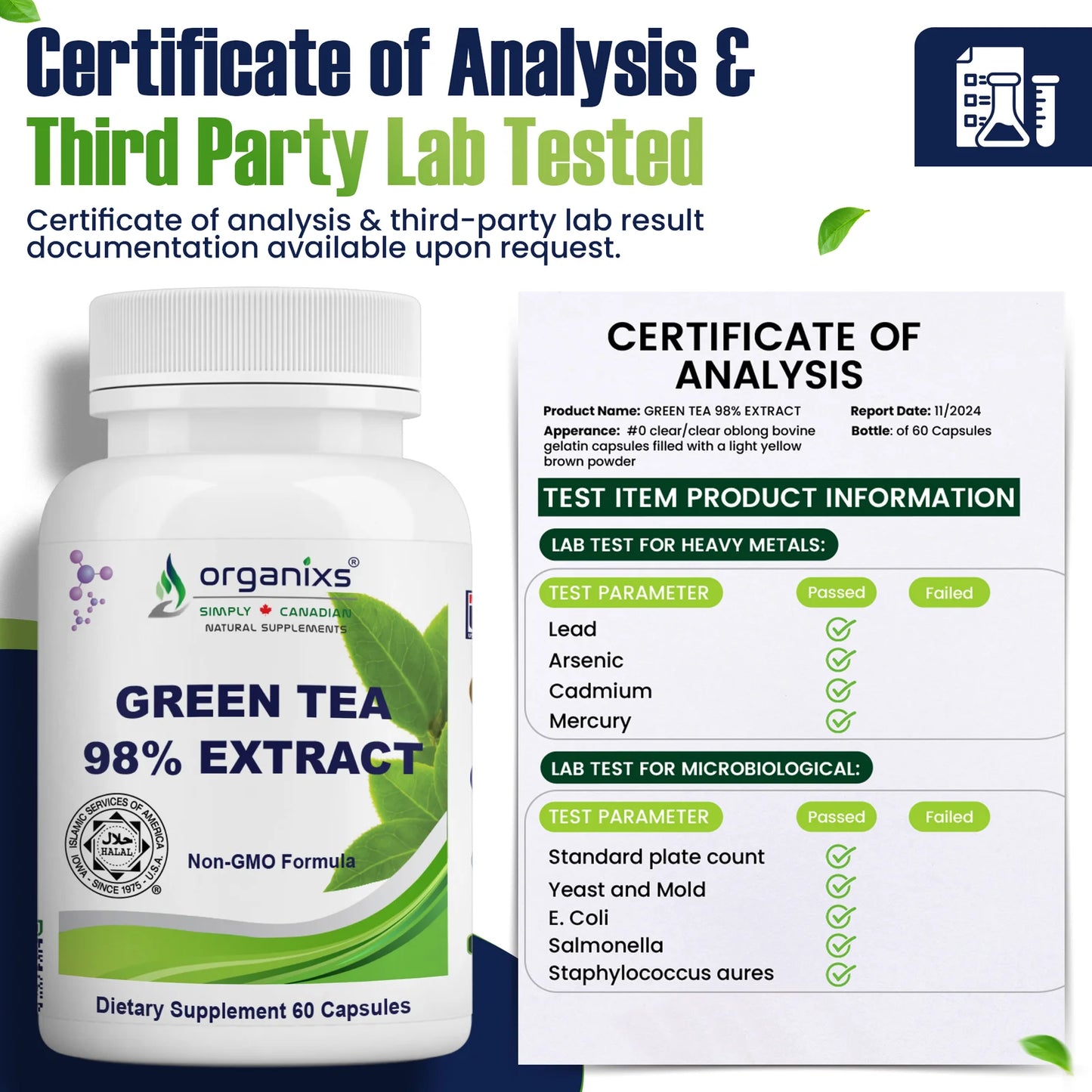 Organixs Green Tea Extract – Supplements For Men & Women, Halal Certified [60 Capsules]