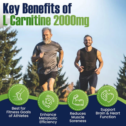 L Carnitine