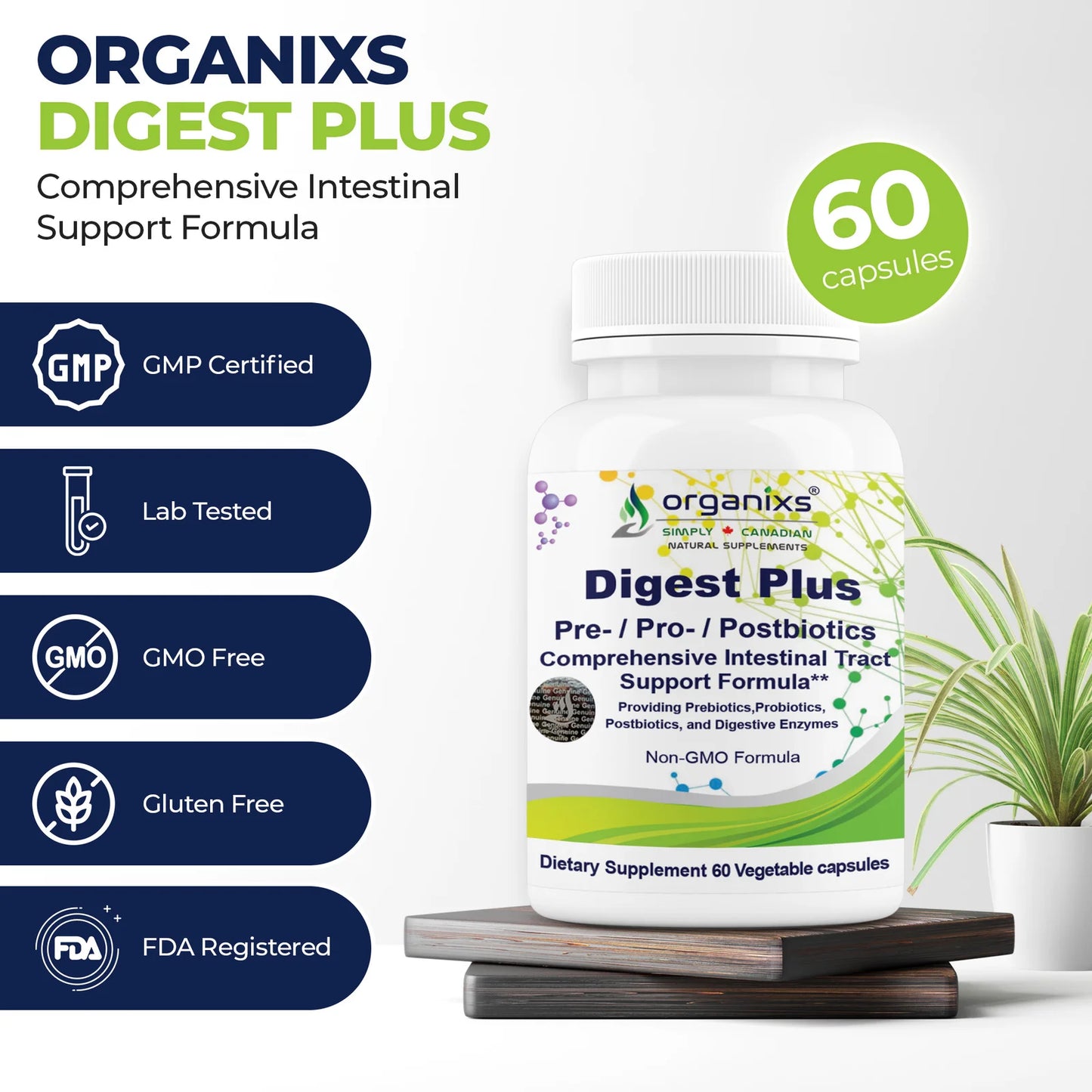 Digest +Pre + Pro + Postbiotics