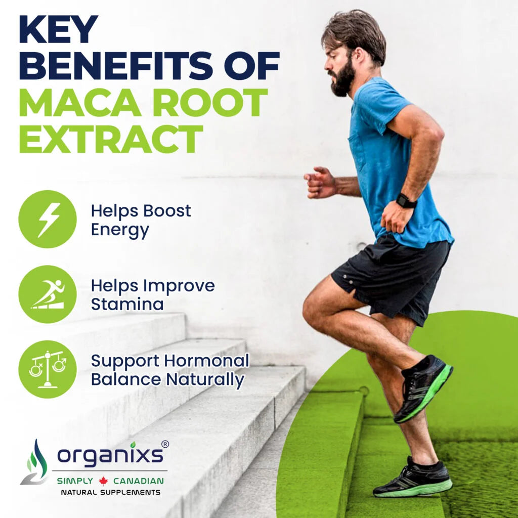 Maca extract