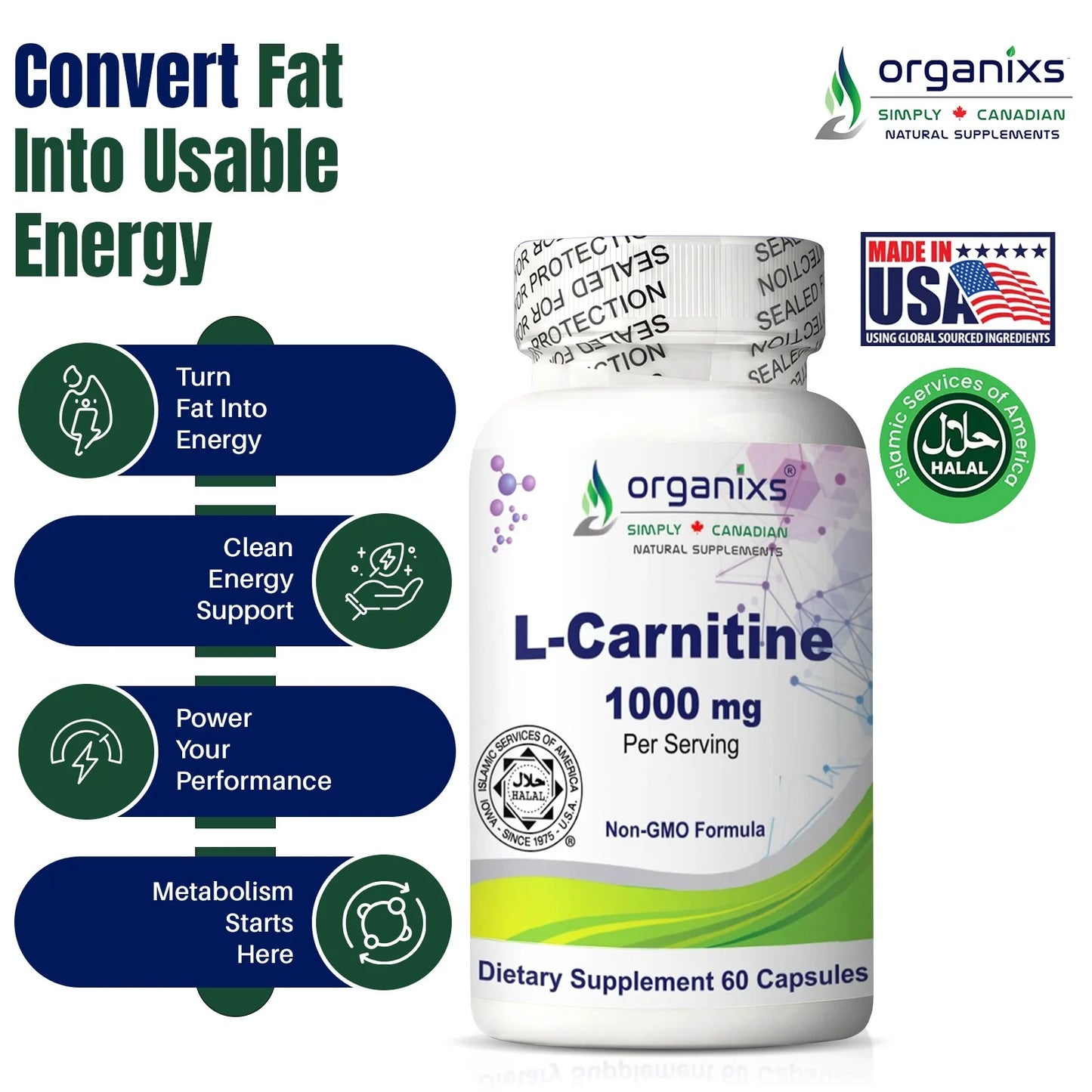 L Carnitine