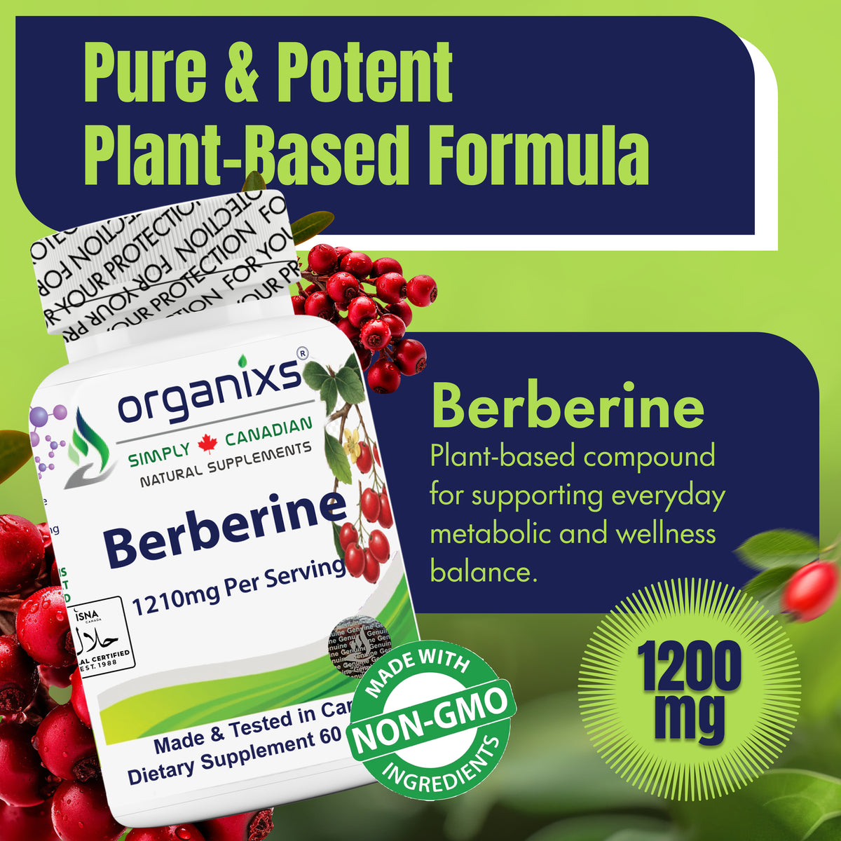 Organixs Berberine 1210mg