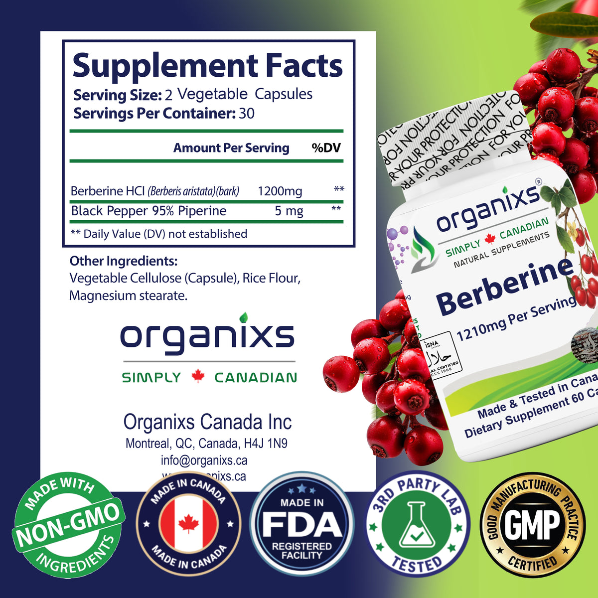 Organixs Berberine 1210mg