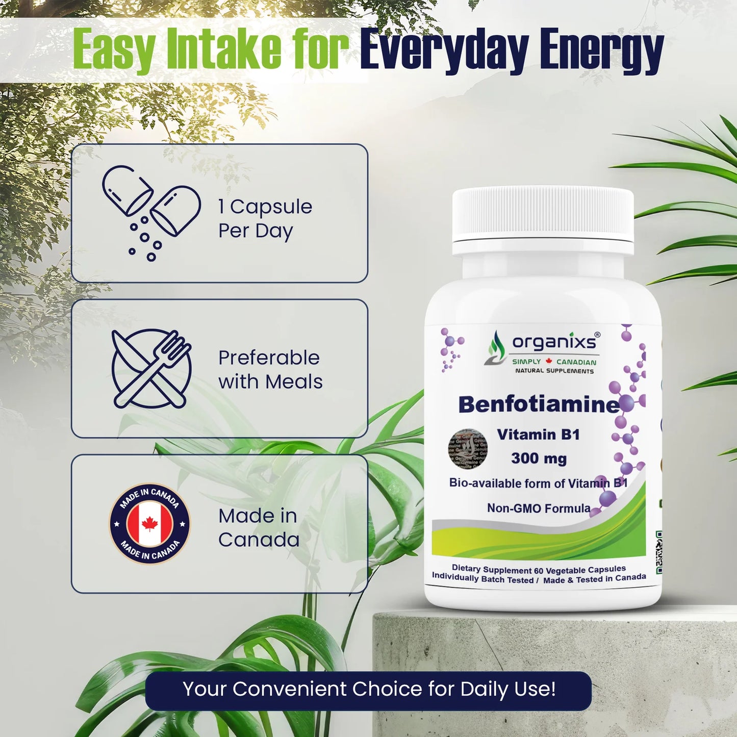 Vitamin B1 Benfotiamine 300mg